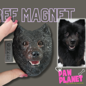 Ref Magnet